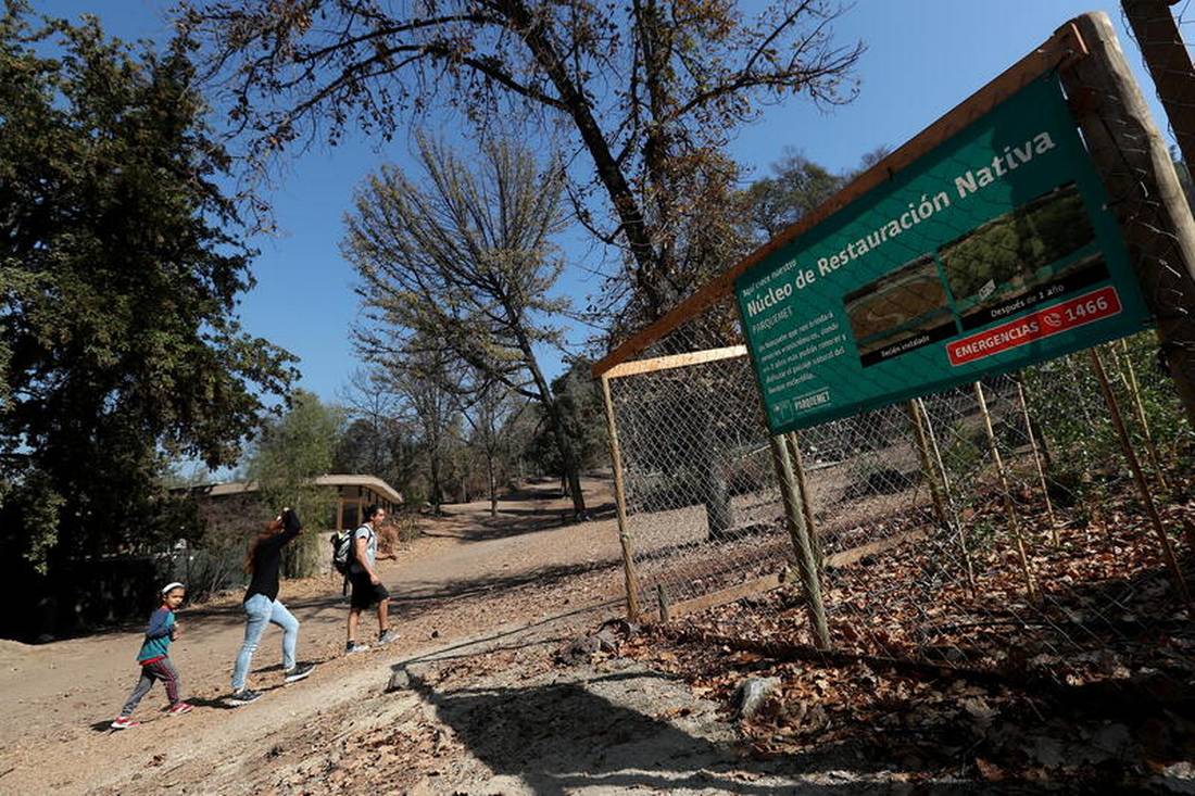Cómo la democracia ambiental puede contribuir a la paz en América Latina maulenoticias cl
