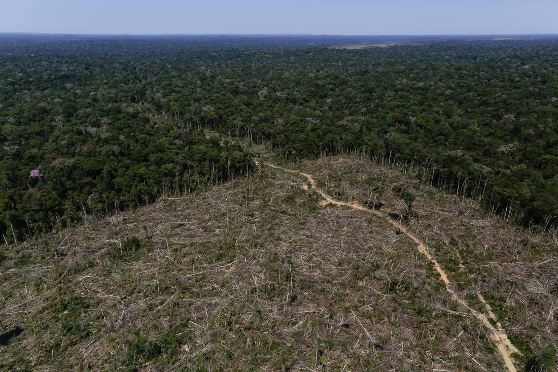 No Brasil, satélites ajudam cientistas a detectar perdas na floresta amazônica