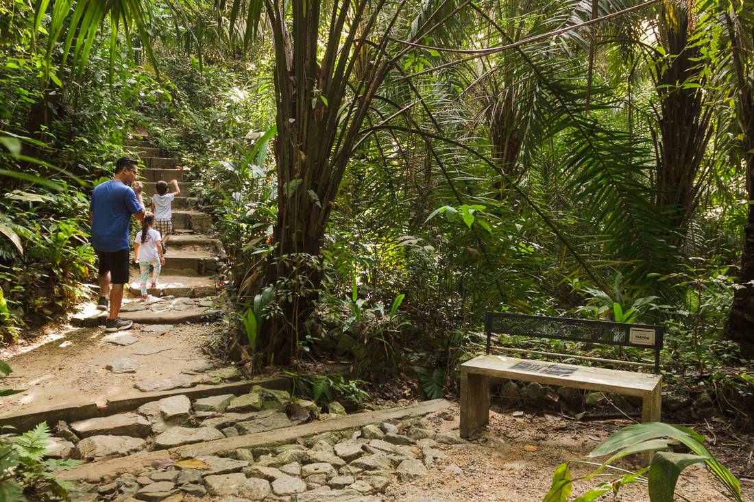 Company money wished to guard biodiversity in Malaysian forest