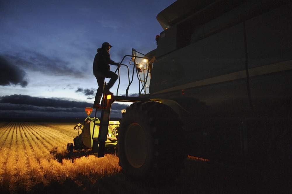 Lloyd Giles climbs up onto his combine to relieve his wife Tara who had been driving the afternoon shift during the annual harvest, on a 160-acre field south of High River, Alberta, September 28, 2013. REUTERS\/Mike Sturk&amp;nbsp;