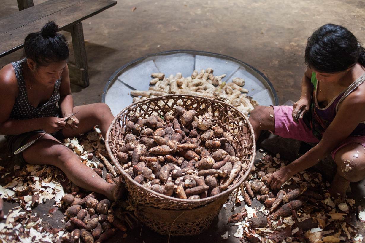 Women preparing cassava, a staple food crop of Amazon indigenous groups, in a riverside community Amazonas province, Miriti- Parana, Colombia, December 17, 2021. Thomson Reuters Foundation/Fabio Cuttica