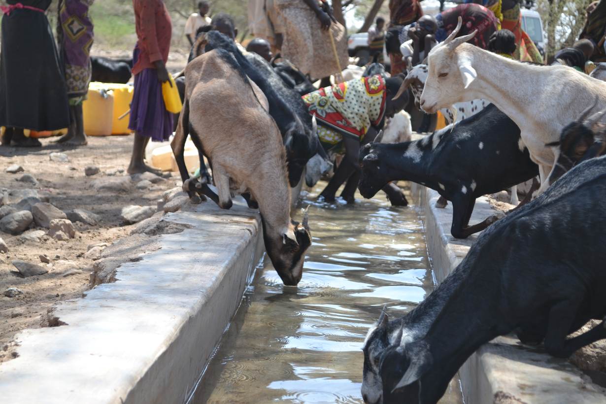 Solar borehole protects Kenyan herders' children from drought