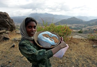 Ethiopia combats climate change