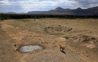 Southern Africa drought