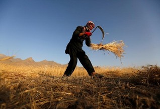 World Food Day 2016