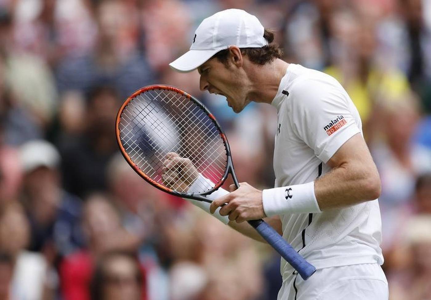 Спорт в Великобритании теннис Wimbledon