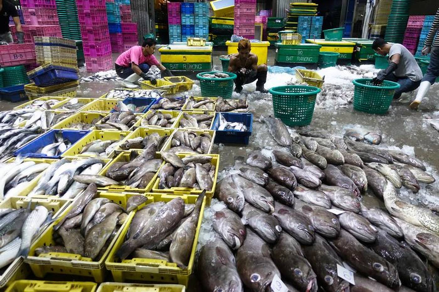 Промышленность тайланда. Таиланд Рыбная промышленность. Пищевая промышленность Таиланда. Морепродукты в Тайланде.