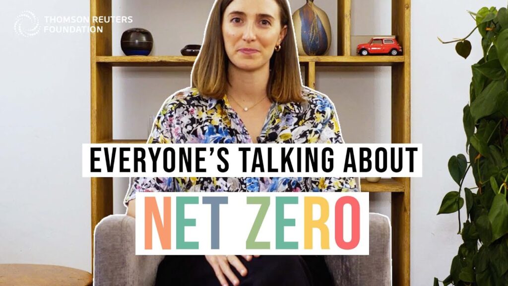 Net zero: the climate pledge, explained