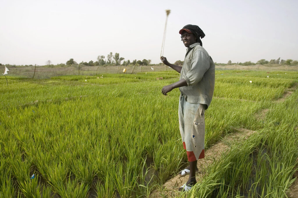 OPINION: Give land rights to youth to boost rural economies