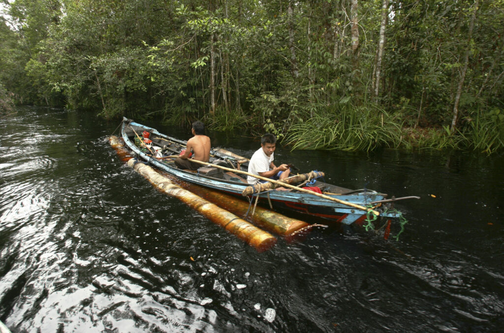 Could an indigenous funding boost revive stuttering forest pact?