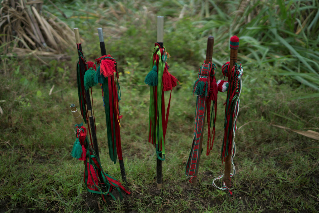 OPINION: How to protect tropical forests? Let indigenous people lead