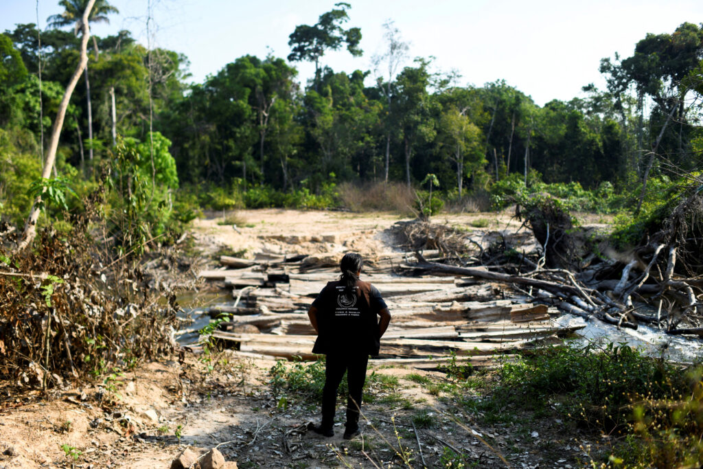 Death and deforestation: Cocaine trade adds to Amazon’s woes