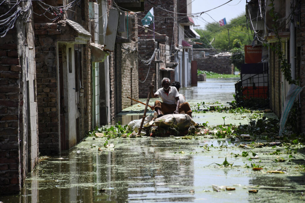 OPINION: Is dengue the next threat in flood-hit Pakistan?