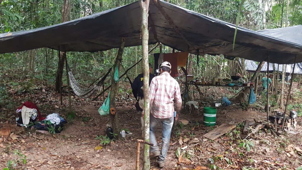 Slaves to deforestation: Labor abuses fuel Brazil’s Amazon destruction