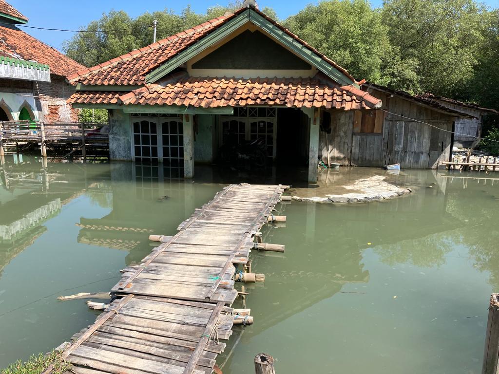 Indonesia’s sinking villages look to nature to restore mangroves