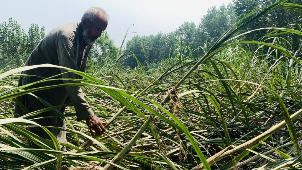 ‘Start my life from zero’: Poor Pakistanis face heavy cost of floods