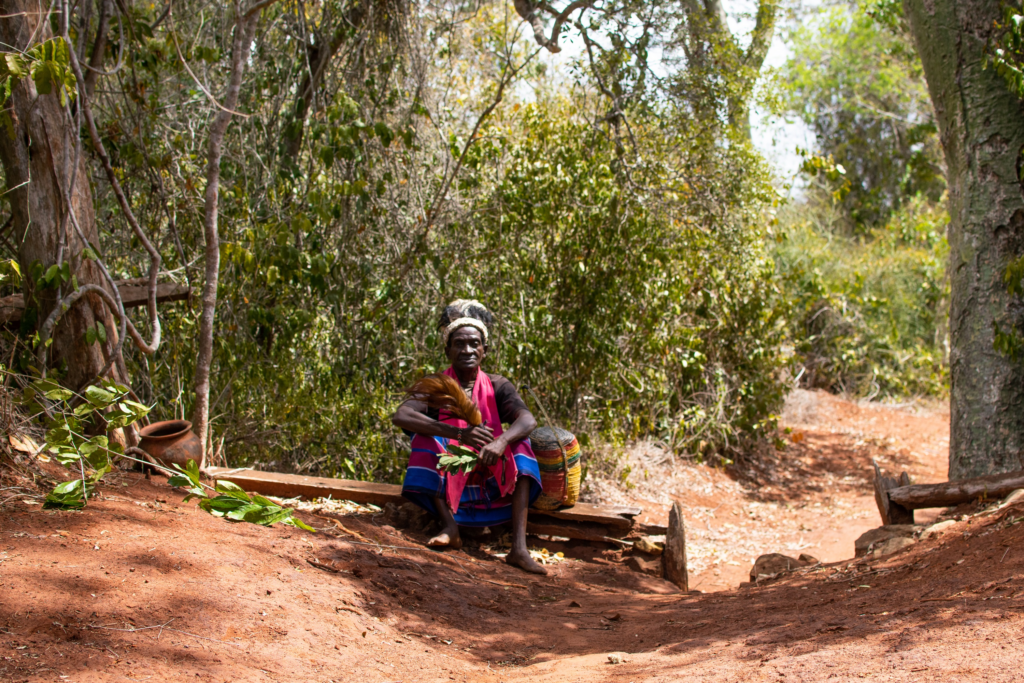‘We have history’: Saving Kenya’s last sacred forests