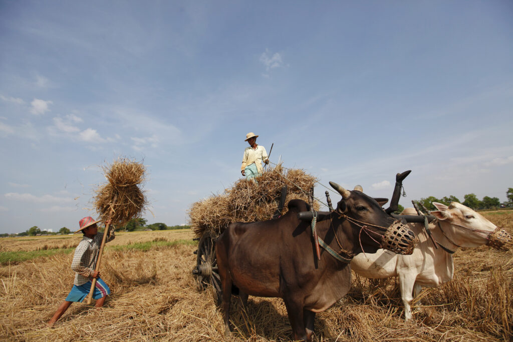 OPINION: Land rights for small producers: a critical solution to the world’s food systems