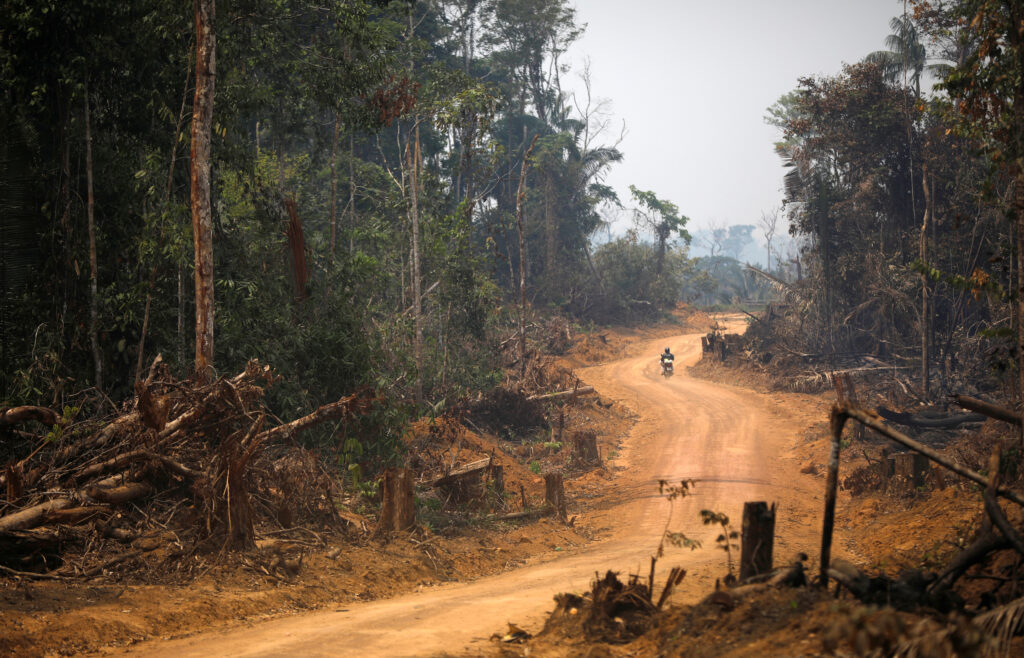 FACTBOX-Five global deforestation hotspots as Brazil reveals Amazon spike