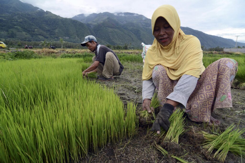 OPINION: The Food Systems Summit must shore up land rights for small farmers for global food security