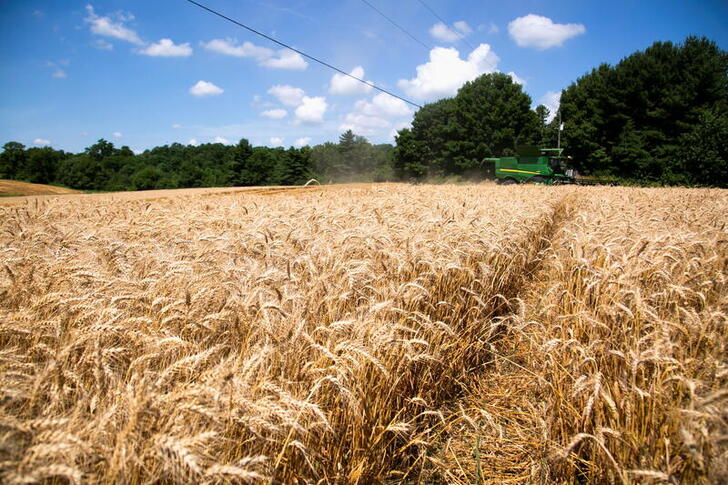 OPINION: COVID-19 imperils rural areas but, with help, farmers can recover