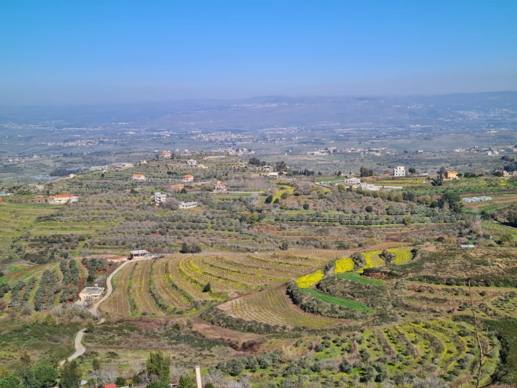 Lebanese rediscover local flavours as crisis hits food imports