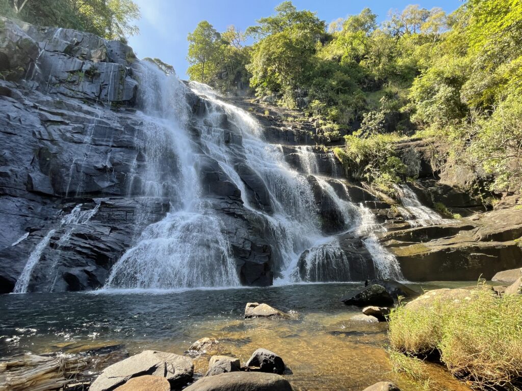 Árvores, tecnologia e pessoas ajudam parque Moçambicano a reverter perdas da natureza