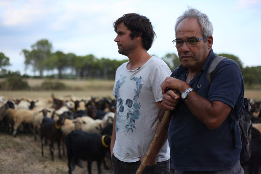 Catalan farmers Pau Figueras Mundo (L), 36, and his father Xavier Figueras Costa, 62, watch over their sheep and goats in a field, in Jafre, in the northeast region of Girona, Spain, August 9, 2017. Thomson Reuters Foundation\/Lin Taylor