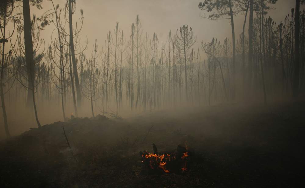 A burned forest is seen near Bouca, close to Sao Pedro do Sul, Portugal, August 9, 2010, after temperatures rose up to 40 degrees Celsius (104 degrees Fahrenheit) in several areas in the country. REUTERS\/Rafael Marchante