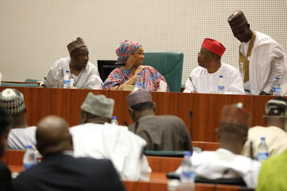 MP Nnenna Elendu-Ukeje talks to her colleagues during a meeting of the Committee on Foreign Relations that she chairs.